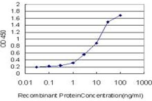 Detection limit for recombinant GST tagged GHRL is approximately 0. (Ghrelin 抗体  (AA 1-117))