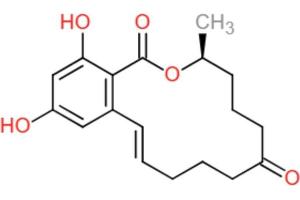 structural formula (Zearalenone 抗体)