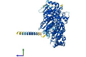 Protein Structure (PS) image for N-Deacetylase/N-Sulfotransferase (Heparan Glucosaminyl) 4 (NDST4) (AA 1-872) protein (His tag) (ABIN7565040)