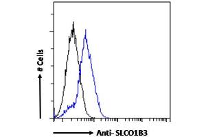 ABIN570800 Flow cytometric analysis of paraformaldehyde fixed HepG2 cells (blue line), permeabilized with 0. (SLCO1B3 抗体  (Internal Region))