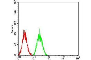 Flow Cytometry (FACS) image for anti-Selenoprotein S (SELS) (AA 1-187) antibody (ABIN5542695)