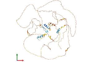 Protein Structure (PS) image for Zinc Finger Protein 503 (ZNF503) (AA 1-646) protein (His tag) (ABIN7545328)