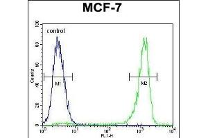 VEGF3 Antibody (N-term) (ABIN655891 and ABIN2845292) flow cytometric analysis of MCF-7 cells (right histogram) compared to a negative control cell (left histogram). (VEGFC 抗体  (N-Term))