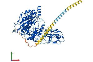 Protein Structure (PS) image for UDP-N-Acetyl-alpha-D-Galactosamine:polypeptide N-Acetylgalactosaminyltransferase 3 (GalNAc-T3) (GALNT3) (AA 1-633) protein (His tag) (ABIN7553972)