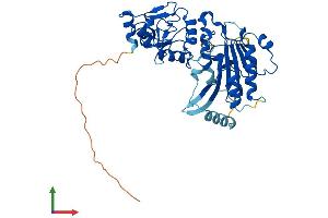 AlphaFold protein structure predicition of Human Recombinant DNMT3L Protein, UniprotID Q9UJW3