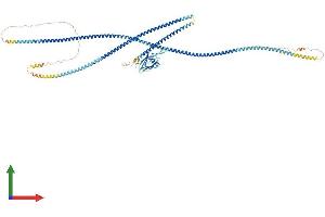 Protein Structure (PS) image for Sarcolemma Associated Protein (SLMAP) (AA 1-828) protein (His tag) (ABIN7555553)