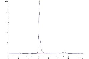 Size-exclusion chromatography-High Pressure Liquid Chromatography (SEC-HPLC) image for VEGF Receptor 2 (VEGFR2) (AA 20-764) protein (His-Avi Tag,Biotin) (ABIN7275838)