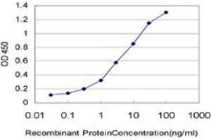 Detection limit for recombinant GST tagged IL8 is approximately 0. (IL-8 抗体  (AA 21-99))