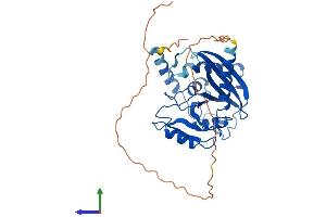 Protein Structure (PS) image for Endonuclease V (ENDOV) (AA 1-338) protein (His tag) (ABIN7559204)