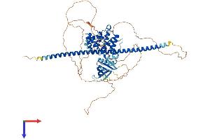 ARHGAP22 Protein (AA 1-698) (His tag)