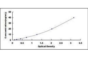 Complement Component 6 (C6) ELISA Kit
