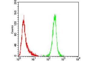 Flow Cytometry (FACS) image for anti-V-Erb-A erythroblastic Leukemia Viral Oncogene Homolog 4 (Avian) (ERBB4) (AA 1159-1308) antibody (ABIN5542589)