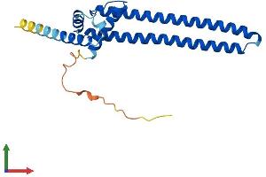 Protein Structure (PS) image for DiGeorge Syndrome Critical Region Gene 6 (DGCR6) (AA 1-220) protein (His tag) (ABIN7547085)
