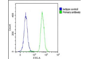 Overlay histogram showing A431 cells stained with (ABIN6244134 and ABIN6578800)(green line). (FAM125A 抗体  (AA 16-50))