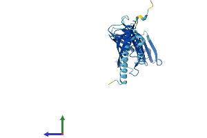 Protein Structure (PS) image for Endoplasmic Reticulum-Golgi Intermediate Compartment (ERGIC) 1 (ERGIC1) (AA 1-290) protein (His tag) (ABIN7561315)