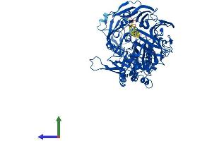 Protein Structure (PS) image for Dipeptidyl-Peptidase 4 (DPP4) (AA 1-766) protein (His tag) (ABIN7553716)