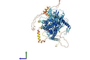 Protein Structure (PS) image for Anoctamin 3 (ANO3) (AA 1-981) protein (His tag) (ABIN7552093)