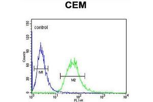 CA6 Antibody (C-term) flow cytometric analysis of CEM cells (right histogram) compared to a negative control cell (left histogram). (CA6 抗体  (C-Term))
