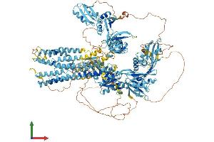 AlphaFold protein structure predicition of Human Recombinant ATP7B Protein, UniprotID P35670