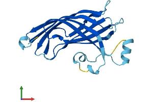 AlphaFold protein structure predicition of Human Recombinant B9D2 Protein, UniprotID Q9BPU9