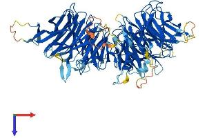 AlphaFold protein structure predicition of Human Recombinant ELP2 Protein, UniprotID Q6IA86