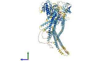 Protein Structure (PS) image for Kinesin Family Member 16B (KIF16B) (AA 1-1312) protein (His tag) (ABIN7562034)