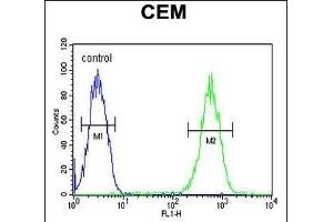 FADS2 Antibody (Center) (ABIN651561 and ABIN2840302) flow cytometric analysis of CEM cells (right histogram) compared to a negative control (left histogram). (FADS2 抗体  (AA 96-122))