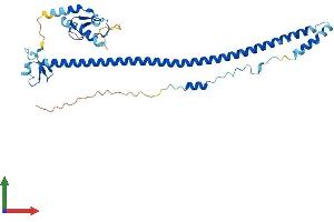 Protein Structure (PS) image for Tripartite Motif Containing 63 (TRIM63) (AA 1-353) protein (His tag) (ABIN7544682)