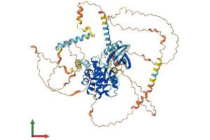AlphaFold protein structure predicition of Human Recombinant NEK5 Protein, UniprotID Q6P3R8