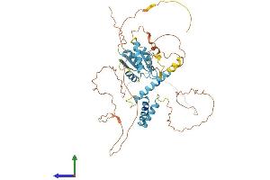 Protein Structure (PS) image for Spermatogenesis and Oogenesis Specific Basic Helix-Loop-Helix 2 (SOHLH2) (AA 1-467) protein (His tag) (ABIN7560976)