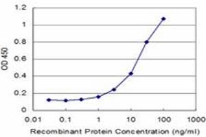 Detection limit for recombinant GST tagged TPO is approximately 1ng/ml as a capture antibody. (Thyroperoxidase 抗体  (AA 672-779))