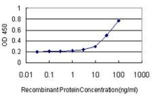 ELISA image for anti-UDP-Gal:betaGlcNAc beta 1,3-Galactosyltransferase, Polypeptide 2 (B3GALT2) (AA 324-422) antibody (ABIN522149)