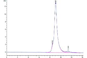 The purity of Biotinylated Human LILRB4 Domain 2 is greater than 95 % as determined by SEC-HPLC.