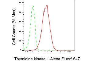 Flow cytometric analysis of Thymidine kinase 1 expression in HepG2 cells using Thymidine kinase 1 antibody (ABIN7800551), 1:2,000).
