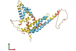 Protein Structure (PS) image for Apolipoprotein L, 2 (APOL2) (AA 1-337) protein (His tag) (ABIN7552133)