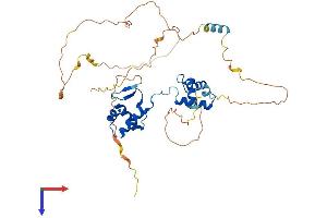 PAX5 Protein (AA 1-391) (His tag)