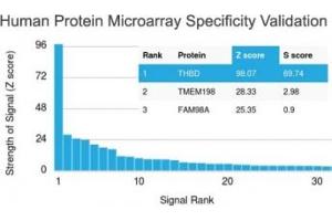 Microarray (MA) image for anti-Thrombomodulin (THBD) (AA 69-194) antibody (ABIN5707537)