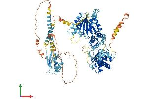 Protein Structure (PS) image for Spastic Paraplegia 7 (SPG7) (AA 1-795) protein (His tag) (ABIN7555633)