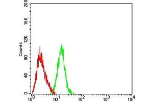 Flow cytometric analysis of THP-1 cells using CD267 mouse mAb (green) and negative control (red).