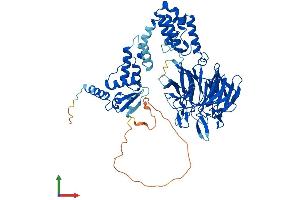 Protein Structure (PS) image for Kelch-Like 14 (KLHL14) (AA 1-628) protein (His tag) (ABIN7548789)