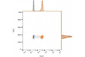 Flow cytometry analysis of bead-bound exosomes derived from MCF-7 cells. (CD81 抗体)