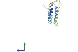 Protein Structure (PS) image for Succinate Dehydrogenase Complex Assembly Factor 1 (SDHAF1) (AA 1-115) protein (His tag) (ABIN7545932)