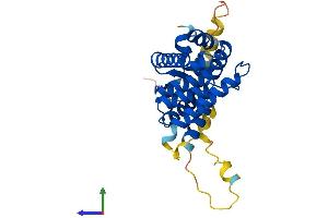 AlphaFold protein structure predicition of Mouse Recombinant Nr0b2 Protein, UniprotID Q62227