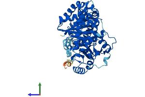 Protein Structure (PS) image for Tubulin, alpha 4a (TUBA4A) (AA 1-448) protein (His tag) (ABIN7556657)
