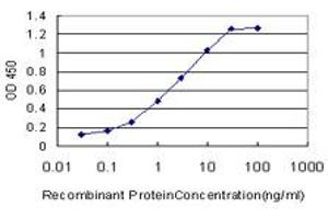 Detection limit for recombinant GST tagged FADS3 is approximately 0. (FADS3 抗体  (AA 16-113))