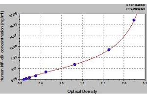 Typical Standard Curve (NFKB1 ELISA 试剂盒)