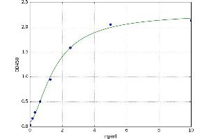 Glutathione S-Transferase omega 1 (GSTO1) ELISA Kit