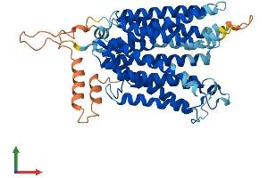 Protein Structure (PS) image for Solute Carrier Family 29 Member 3 (SLC29A3) (AA 1-475) protein (His tag) (ABIN7545924)