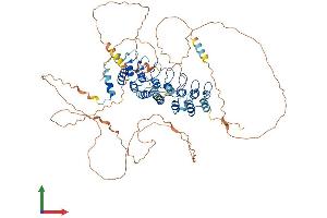 AlphaFold protein structure predicition of Human Recombinant NFKBIZ Protein, UniprotID Q9BYH8