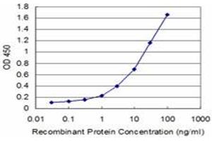 Detection limit for recombinant GST tagged HOXA5 is approximately 0. (HOXA5 抗体  (AA 171-270))